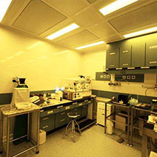 恒康生殖机构感恩回馈现场